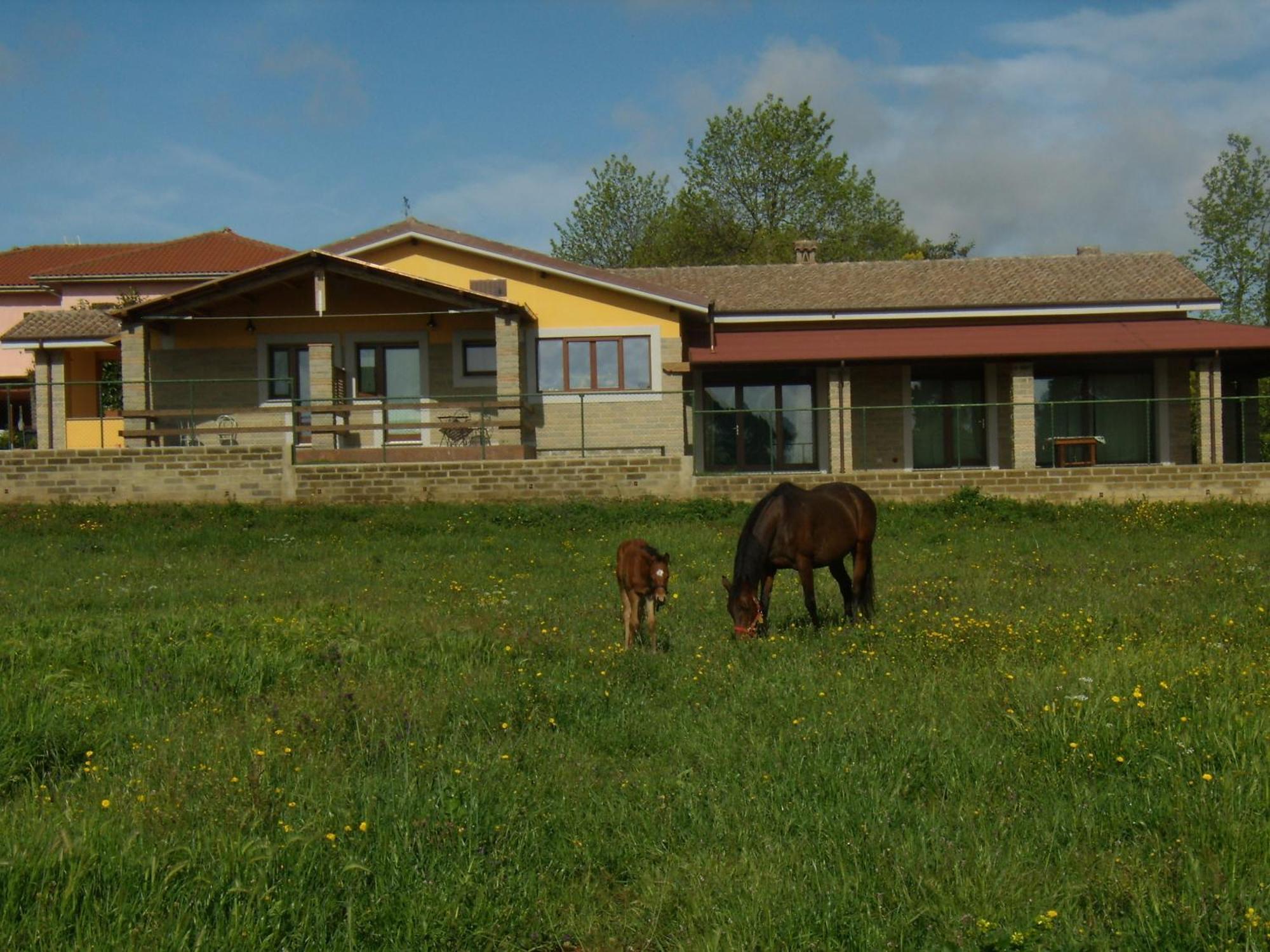 Agriturismo L.B.Stud Браччано Екстер'єр фото