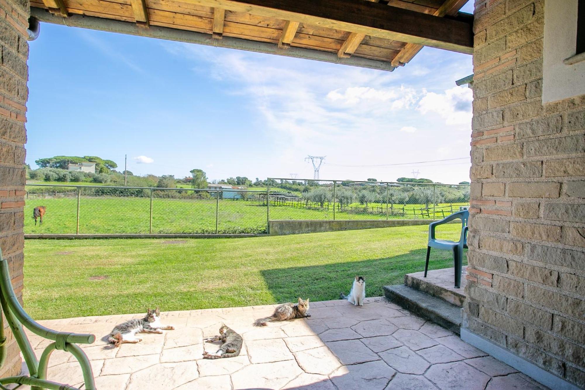 Agriturismo L.B.Stud Браччано Екстер'єр фото