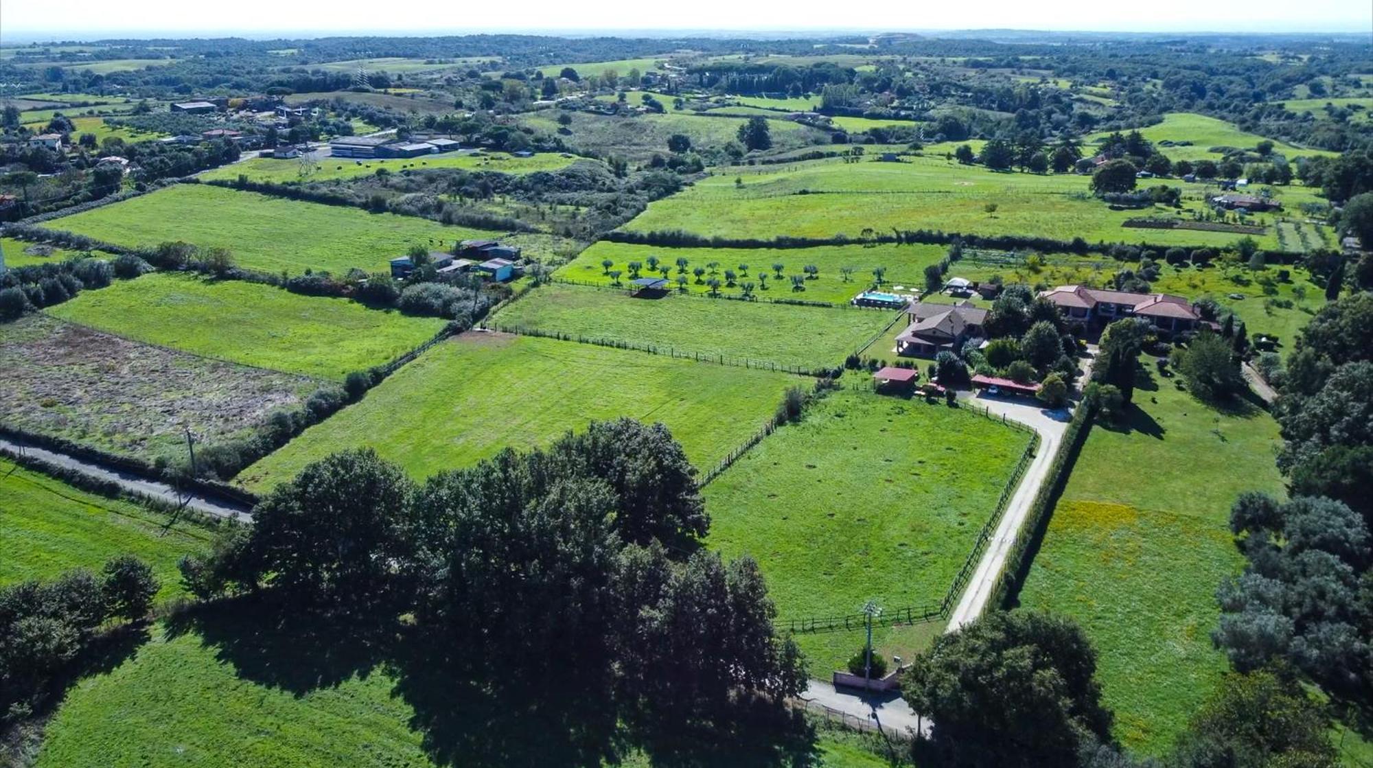 Agriturismo L.B.Stud Браччано Екстер'єр фото